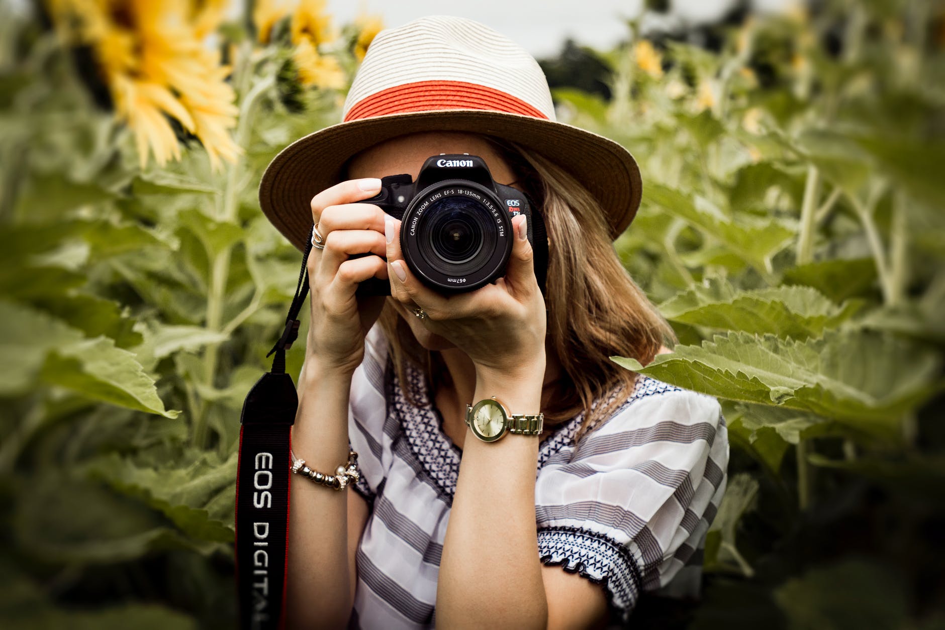 The Best Blogging Platform For Photographers